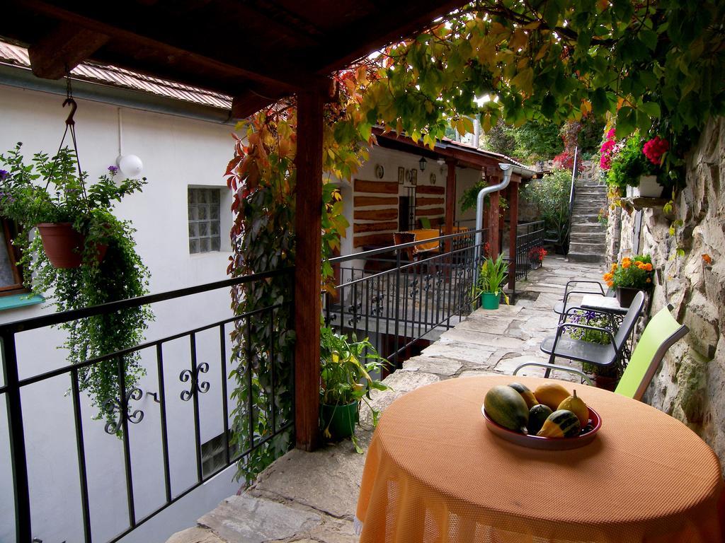 Pension Hamry Vranov nad Dyji Ngoại thất bức ảnh